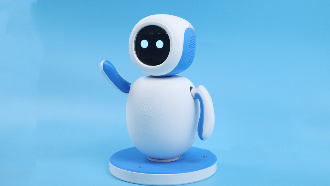 Friendly companion robot with expressive display